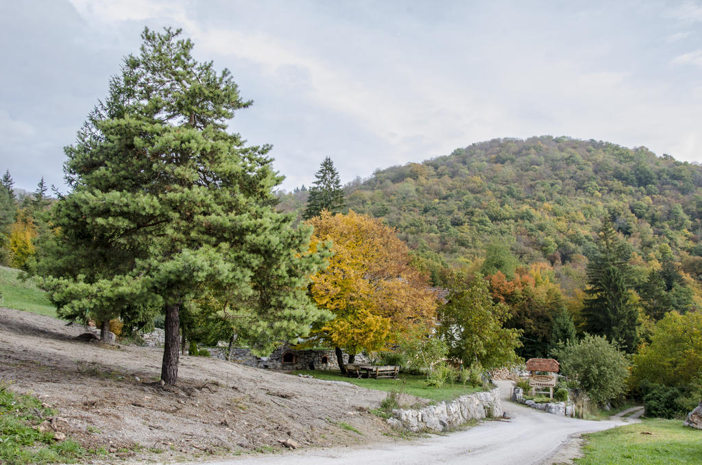 Miskar Rooms Cerknica Kültér fotó