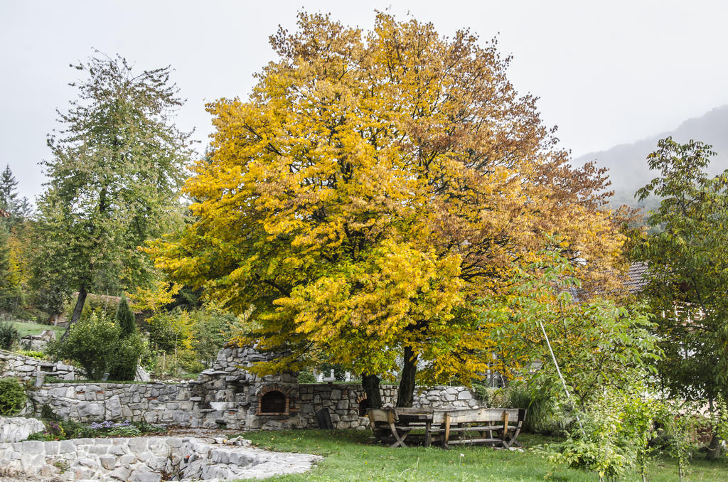 Miskar Rooms Cerknica Kültér fotó